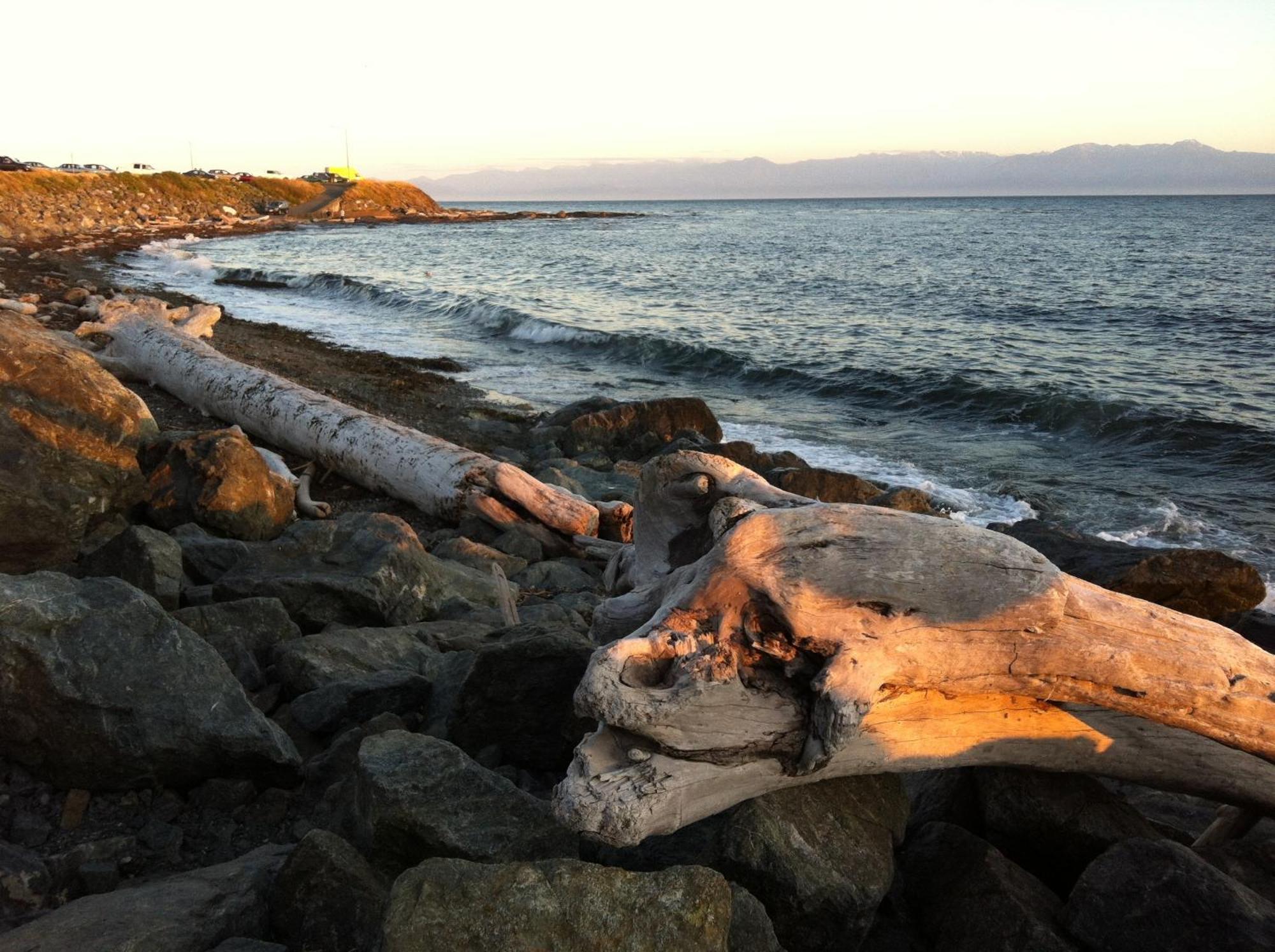 Dashwood Manor Seaside Bed & Breakfast Victoria Dış mekan fotoğraf
